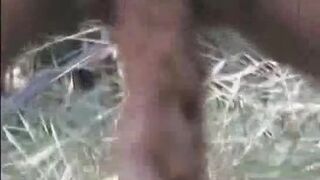 BIG POO OUTDOORS, ScatKings.com Scat Porn 15 ScatKings.com Scat Porn