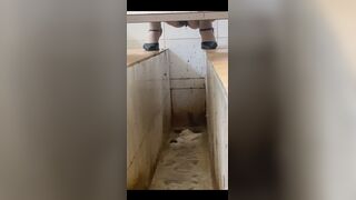 Chinese voyeur scat - video 4, ScatKings.com Scat Porn 10 ScatKings.com Scat Porn