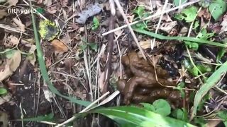 Her poo in the woods.., ScatKings.com Scat Porn 13 ScatKings.com Scat Porn