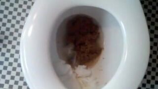 Large amount of excrement in toilet bowl, ScatKings.com Scat Porn 2 ScatKings.com Scat Porn