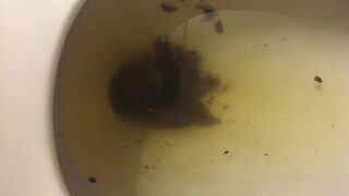 Not much but it’s something, ScatKings.com Scat Porn 14 ScatKings.com Scat Porn