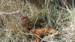 OUTDOOR POO - video 2, ScatKings.com Scat Porn 11 ScatKings.com Scat Porn
