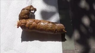 Scat 160, ScatKings.com Scat Porn 4 ScatKings.com Scat Porn