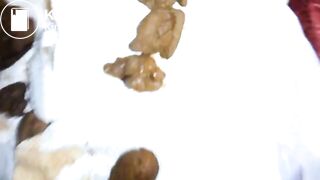 Swallow bf small turd, ScatKings.com Scat Porn 15 ScatKings.com Scat Porn