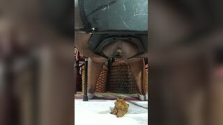 Thicc Dom shits, ScatKings.com Scat Porn 1 ScatKings.com Scat Porn
