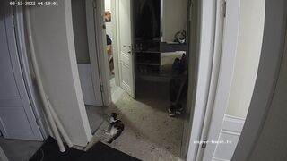 Woman pooping in Toilet 287, ScatKings.com Scat Porn 13 ScatKings.com Scat Porn