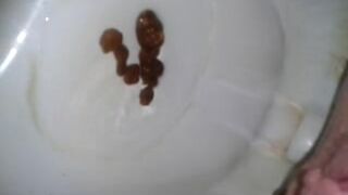 amateur 2 poop 8, ScatKings.com Scat Porn 15 ScatKings.com Scat Porn