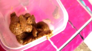 girl shits - video 19, ScatKings.com Scat Porn 9 ScatKings.com Scat Porn