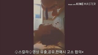 korean scat pooping 한국인 스캇 유료자료, ScatKings.com Scat Porn 5 ScatKings.com Scat Porn
