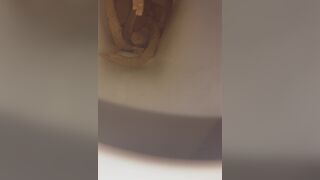 snake dump, ScatKings.com Scat Porn 11 ScatKings.com Scat Porn