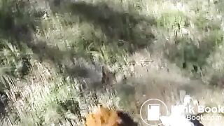 Chubby girl pooping in nature, ScatKings.com Scat Porn 7 ScatKings.com Scat Porn